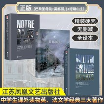 중국어소설 중국어원서 중국소설 정품 양장본｜Wuthering Heights 원서 삭제 없는 원서의 중국어 버전 Emily Bronte의 세계적으로 유명한 외국 소설 번역가 성인, 노트르담 드 파리 + 올리버 트위스트 + Wuth