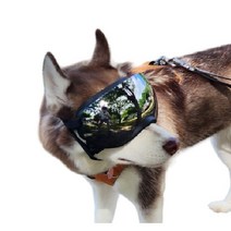 강아지 고글 선글라스 애견 대형견 반려견 안경 자외선차단 눈 시력 보호, 블랙, 블랙