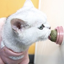 캣닢사탕 롤링 고양이 사탕 캔디 캣닢볼 2개세트, 핑크 2개