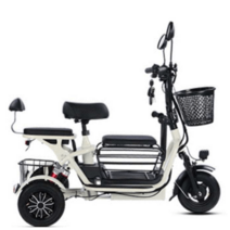 삼륜 오토바이 삼발이 전기 출퇴근 배달 48V 접이식, 단일 드라이브 8A 30km 3인승 48V