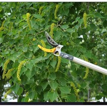 가지 치기 고지 가위 과일 수확 다목적 전정 가위, 3단 - 1.4 -3m