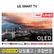 LG 83인치 4K UHD OLED 스마트 TV OLED83C1 리퍼, 4. 지방권역 벽걸이  상하브라켓