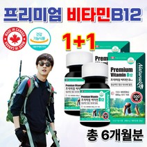 캐나다 식약처 약국 홈쇼핑 피곤할때 고농축 고용량 목넘김 쉬운 삼켜먹는 활성 신경 비타민B 비타민비12 피타민 메코발라민 메티코발라민 메틸 코발라민 BB12 영양제 약 6개월분, 256mg 90정 x 2통