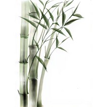 쉬운 diy피포페인팅 사군자 매화 난초 국화 대나무 매란국죽 행복 재물 풍수 수묵화 동양화 색칠하기 선물용 슬기로운 취미생활 집중력향상 스트레스 해소 그림그리기 소품, 사군자그리기도안06, 40*50cm(액자프레임포함)