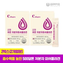리핏 어린 저분자 피쉬콜라겐 레몬 맛 2박스(총2개월분), 2박스, 2gx30포