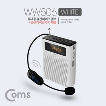 Wal그린_행사용앰프스피커 강의용 충전식 무선마이크 다용도 라디오 실내용 휴대용_Wal그린, 무옵션-단일상품_