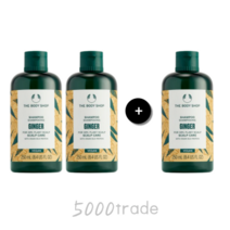 더바디샵 진저샴푸 가려움증 완화 두피보호 250ml 2+1, 진저샴푸 250ml 2+1