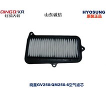 KR모터스 미라쥬250 순정 오일 필터, GV250 에어 필터, 1개