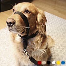 [강아지훈련용리드줄] [당일발송]5H펫 안전한 강아지목줄 훈련용 리드줄, 카키