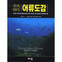 우리바다어류도감  베스트 TOP 인기 90
