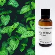 향기에반하다 바질 E.O 천연 아로마 에센셜 오일 30ml 50ml 100ml 달콤 피부 건강 지성 친환경 디퓨저 방향제 캔들 향료 비누만들기, 바질 천연 아로마 에센셜 오일 30ml