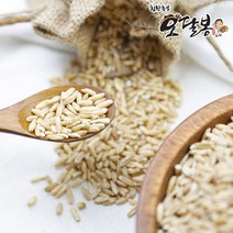 힘찬농부오달봉 2022년 수입 귀리 귀리쌀 오트밀 통귀리, 1포, 3kg