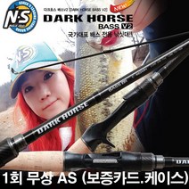 NS 블랙홀 다크호스 배스 V2 루어낚시대+하드 케이스포함.그린피싱, 4.다크호스 배스V2 (베이트) C-682M 루어대