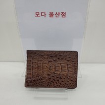 [에스콰이어] 에스콰이아 남성 카이만 악어가죽 반지갑 ECAFPN116