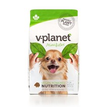 강아지 비건 사료 브이플래닛 미니바이츠 채식 사료 2.04kg+푸짐한 사은품