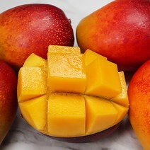 열대과일 망고 애플망고 세트 애플망고2kg 4kg, 애플망고 2kg