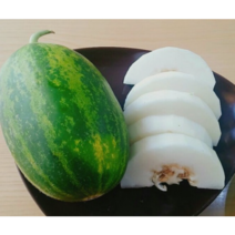 고당도 당일수확 당일발송 시원 달콤한 파파야메론, 2kg, 1개