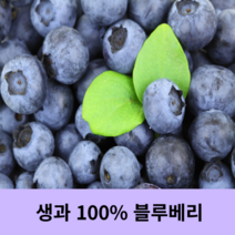 생블루베리 블루베리생과 칠레산 미국산 수입 국산, 1kg+1kg