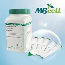 Acetobacter Xylinum Agar/ MBcell 미생물 배지, 1Ea