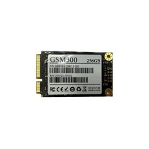젬스톤 GSTON GSM300 mSATA (256GB), 1