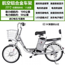 전기 자전거 2인승 전동 킥보드 배달 운동 패달 겸용 알루미늄 합금 성인 남성 여성 이중 리튬 배터리, F100KM