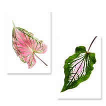 아트톡 초록식물 인테리어 폼보드액자 2종세트