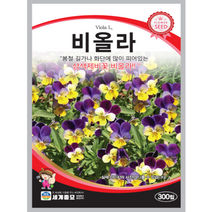 비올라 씨앗 300립 꽃씨