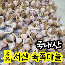 [명품특산물] 23년 서산육쪽마늘 통마늘 햇마늘 왕특 50개/100개 국산 반접 한접 서산 육쪽 토종 한지형 마늘 김장 저장 요리 밭마늘, 반접 (50개), 왕특사이즈