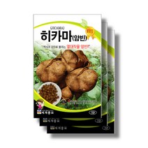 히카마씨앗 50립x3 jicama seeds
