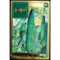 수세미씨앗20립 잘 달리고 모양 좋은 우수 품종 KS종묘