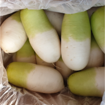 제주도 월동무 세척무 5kg, 1box