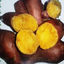 안면도 호박고구마 꿀고구마, 호박고구마10kg(왕)