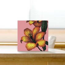 [천삼백케이] [그래픽아트 휴] 미니안드라(15x15cm), B