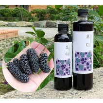오디청 오디쥬스 오디즙 오디원액 오디효소 오디액, 500ml