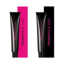 시세이도 프로페셔널 프리미언스 염색약 80g 파스텔톤 셀프 멋내기, 1개, 그레이(G5)