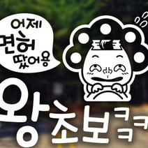 자동차스티커 어제면허땄어용 왕초보 초보운전스티커 차량스티커