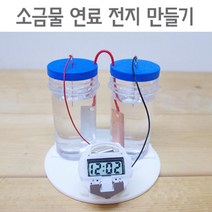소금물 연료 전지 이온화 과학실험 5인 학습 구리판 소금물은 방과후 교구 돌봄 원리 아연 교재