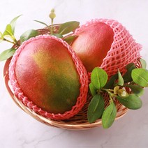 [한정수량특가] 애플망고 프리미엄 항공수입 고당도, 애플망고 선물세트6과