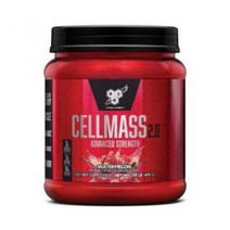 BSN 셀매스 2.0 1.09파운드 (495g 50서빙), 1개, 아틱베리