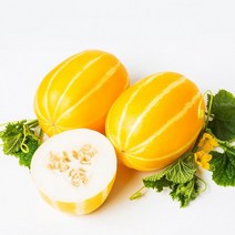 산지직송 못난이 농장 참외 가정용 신선코리아 박스 1kg 포장 황금알참외 성주참외 시세 제철과일 당일수확, 못난이 가정용1kg