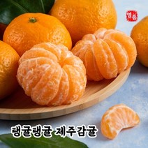 [올해첫수확] 제주 서귀포 조생 노지감귤 중대과 로얄과 5kg 10kg, 서귀포 조생 귤 로얄과 5kg