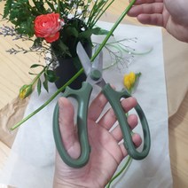 짧은코 정전 가위 분재용 꽃 소나무 전지 나무 자르는 꽃꽂이 전정 가지치기 수동 작업용 원예용 뿌리 다목적 화초 분재 가드닝 화훼 작업 조경 절삭 절단 공구 정원