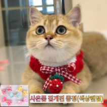 [고양이케이프만들기] 씨에스소울 반려동물 방울 목걸이, 핑크