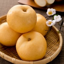 선물용 나주 신고배 프리미엄 대과(8~10과) 7.5kg, 프리미엄 신고배 7.5kg