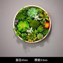 행인플렌트 행잉플랜트 조화 다육이잎꽂이 다육용월 벽 아트 인테리어, 색상 분류: 녹색 직경 40cm-C