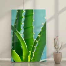 cr950-폼아크릴액자38CmX58Cm_건강지킴이알로에, B타입알로에분할