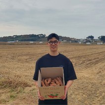 서산고구마 꿀고구마 고구마10키로 베니하루카 토울고구마 호박고구마 진율미고구마 베로니카 고구마 3kg 5kg 10kg, 10kg(한입)