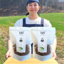 1+1 반듯한청년 볶은 둥굴레 250g 2봉 국산 건조 햇 차 말린 것, 2개