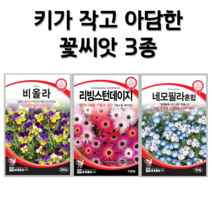 키가 작은 꽃씨 3종 모음 네모필라 씨앗 비올라 씨앗 리빙스턴 데이지 씨앗 꽃씨 종자 꽃씨몰