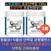농축유청단백 초유단백질 유청단백질 단백질음식 단백질쉐이크 프로틴단백질 헬스단백질보충제 근육 카제인 농축유청단백질 분말 wpc 근육키우는법 근육 살찌우는법, 2통